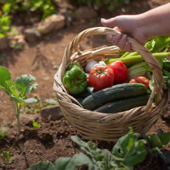 Gardening<br>Services